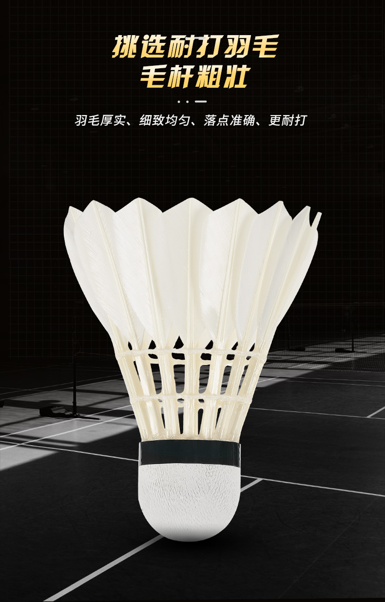 ใหม่12ชิ้นมืออาชีพลูกขนไก่ G20 - Badminton Victory บทวิจารณ์และราคา