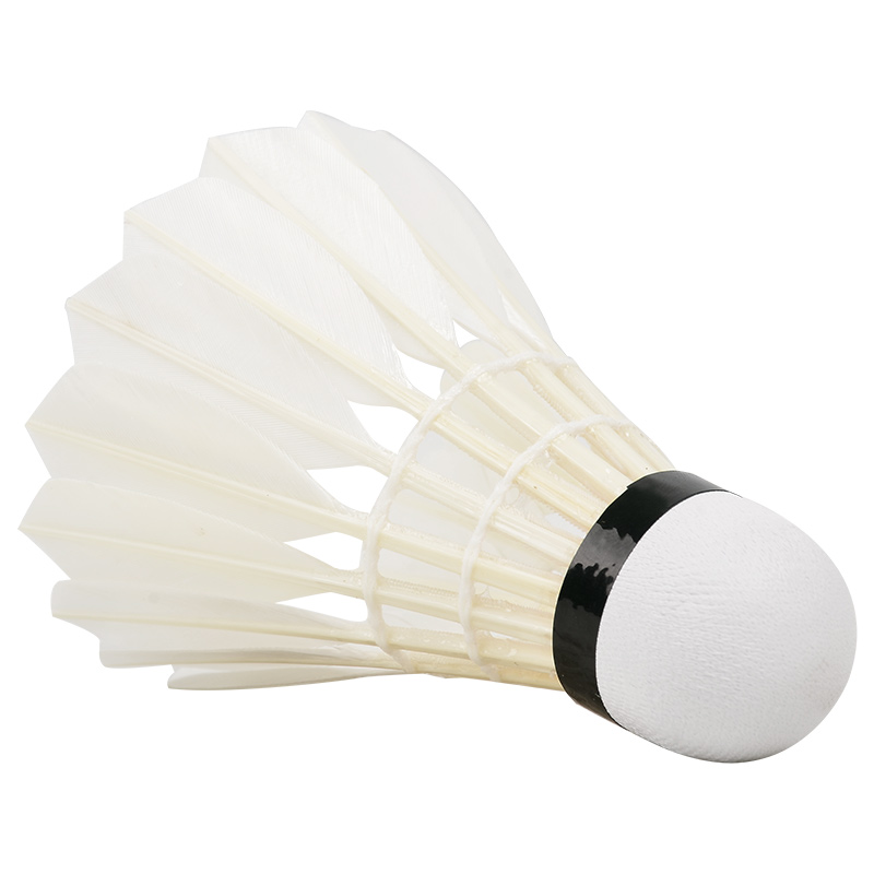 ใหม่12ชิ้นมืออาชีพลูกขนไก่ G20 - Badminton Victory บทวิจารณ์และราคา