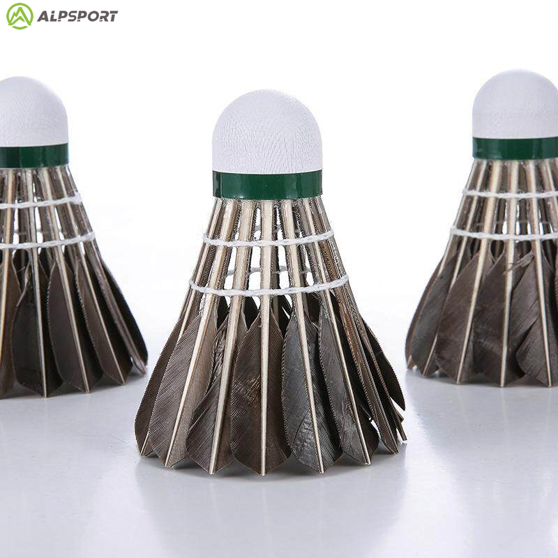 ALP 806 ลูกแบดมินตัน 12 ชิ้น B - Badminton Victory บทวิจารณ์และราคา